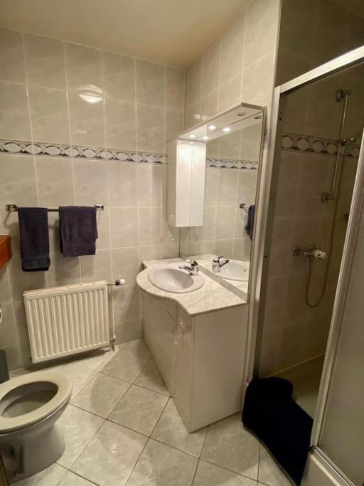 Gite 4 Personnes - Pleine Nature Morbier Exterior photo